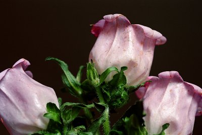 g5/04/714204/3/100007001.1vJhbHE9.jpg