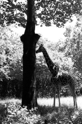 g5/04/714204/3/100286260.WdW6gKts.jpg