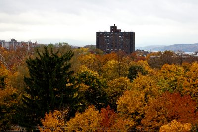 apartment over fall colors
