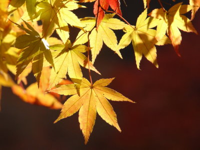 20091029_0270.jpg