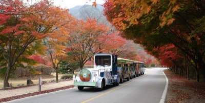 20091029_0126.jpg