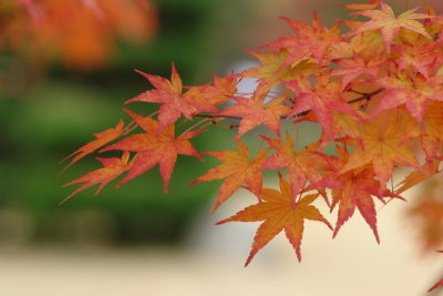 20091029_0131.JPG