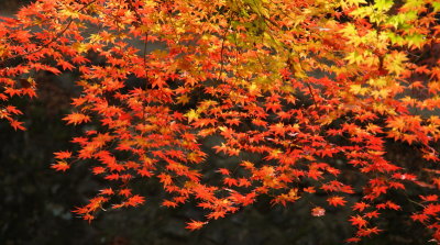 20091029_0173.jpg