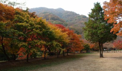 20091029_0180.jpg