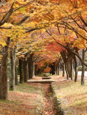 20091029_0200.jpg