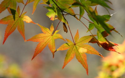 20091029_0237.jpg