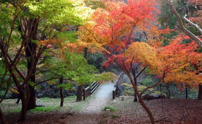 20091029_0264.jpg