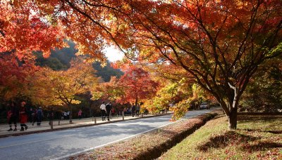 20091029_0266.jpg
