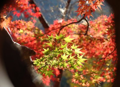 20091029_0288.jpg