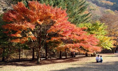 20091029_0299.jpg