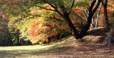 20091029_0316.jpg
