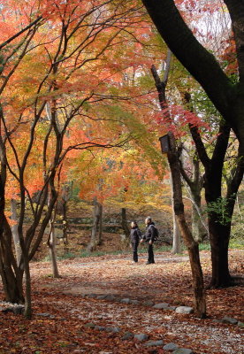 20091029_0484.jpg