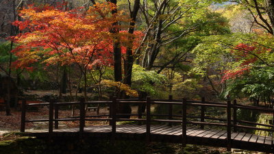 20091029_0491.jpg