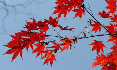 20091029_0509.jpg
