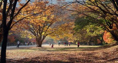 20091029_0324.jpg