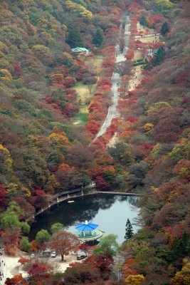 20091029_0212.jpg