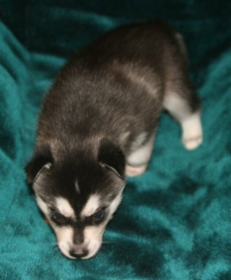 Boy Pic1 111009.JPG