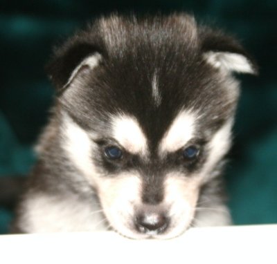 Boy Pic11 111009.JPG