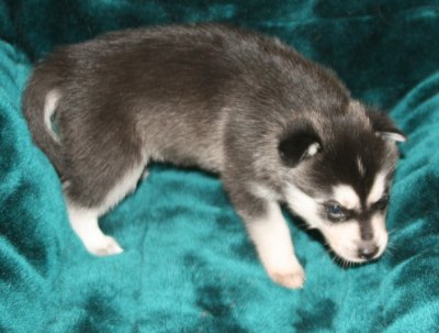Boy Pic2 111009.JPG