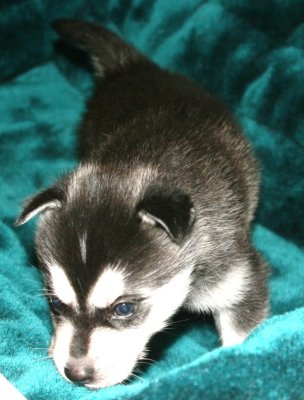 Boy Pic4 111009.JPG
