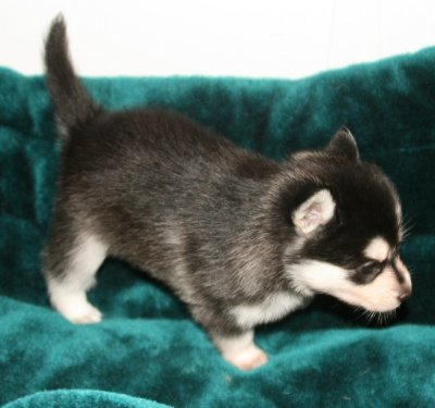 Girl #2 Pic 10 111009.JPG