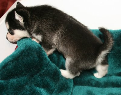 Girl #2 Pic12 111009.JPG