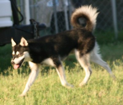 July 4 2008 030.JPG