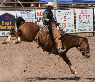 Cow Punchers Rodeo Williams Az July 2008 & 2011