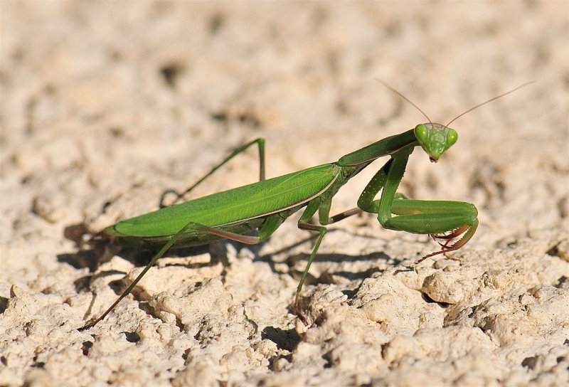 DSC_5363.JPG