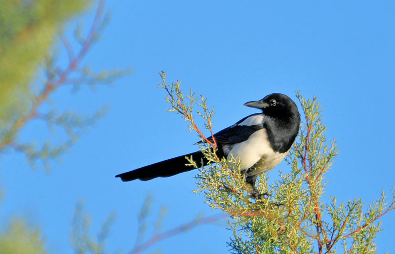 DSC_5939.JPG