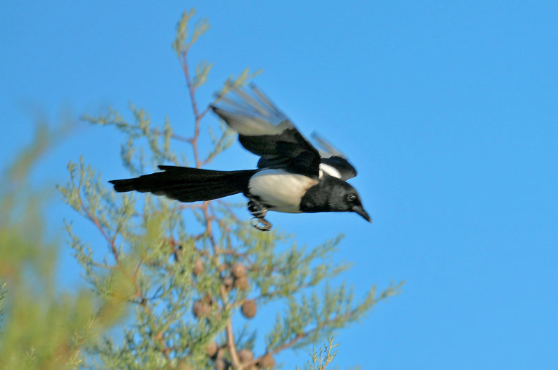 DSC_5940.JPG