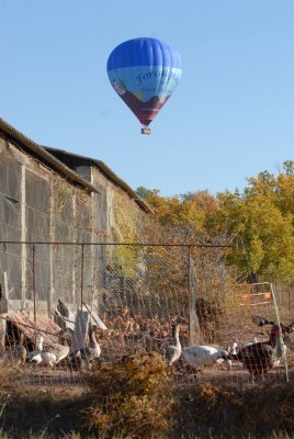 DSC_4009.JPG