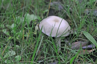 DSC_3693.JPG