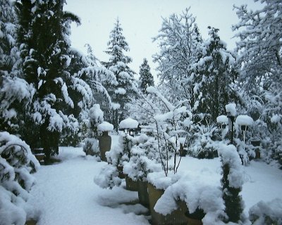 neige-3-3-05 2.JPG