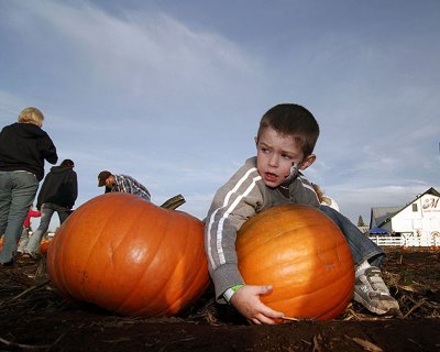 _MG_3393PumpkinPatch_Oct2008.jpg