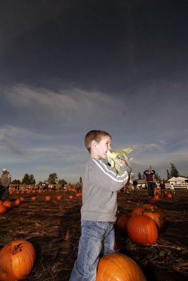 _MG_3398PumpkinPatch_Oct2008.jpg