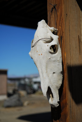 Ballarat Ghost Town