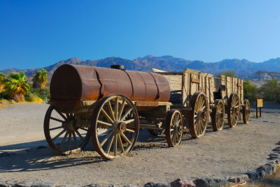 20 Mule wagon