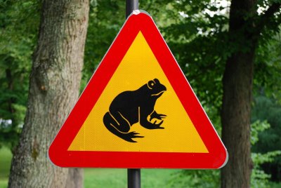 frog warning