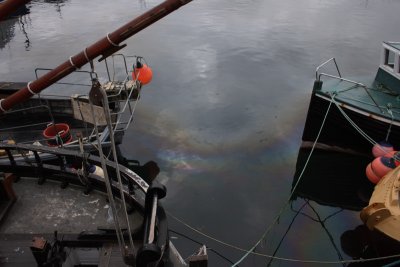 Oil
