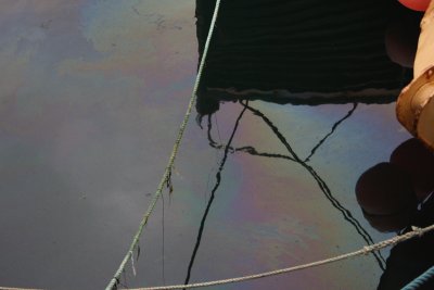 Oil