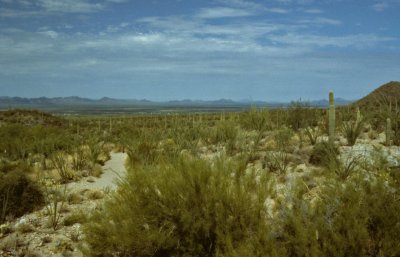 USA-193-Arizona.jpg