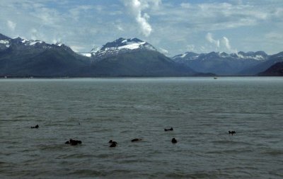 USA-027-Alaska.jpg