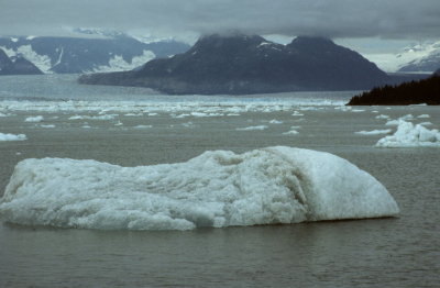 USA-035-Alaska.jpg