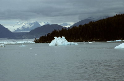 USA-036-Alaska.jpg