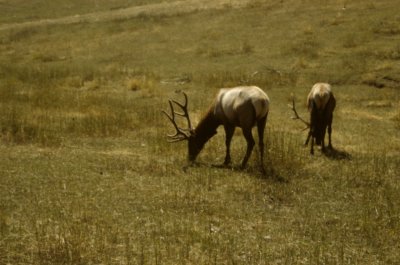 USA-101-South Dakota.jpg