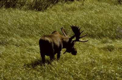 USA-125-Wyoming.jpg