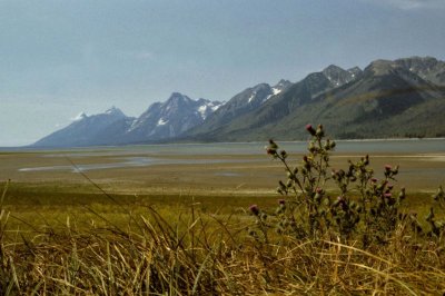 USA-183-Wyoming.jpg