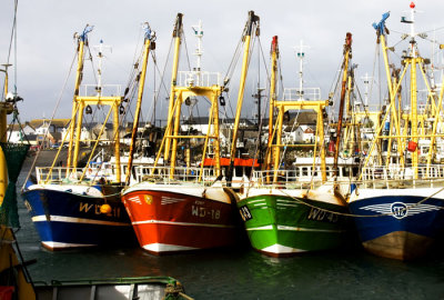 fishing trawlers .jpg