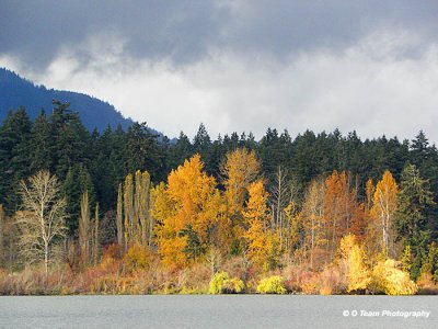 Fall at the Lake